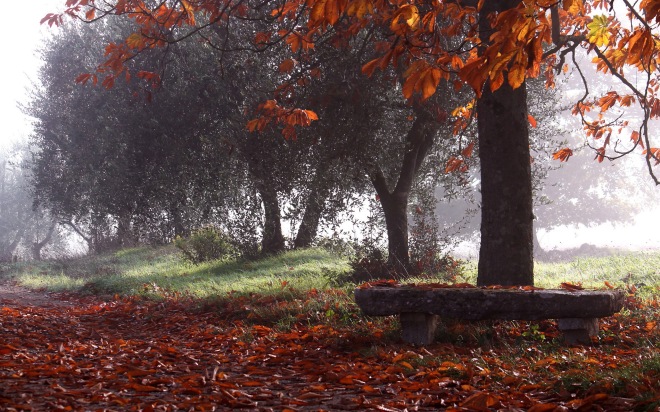 Stone-bench-in-autumn-park